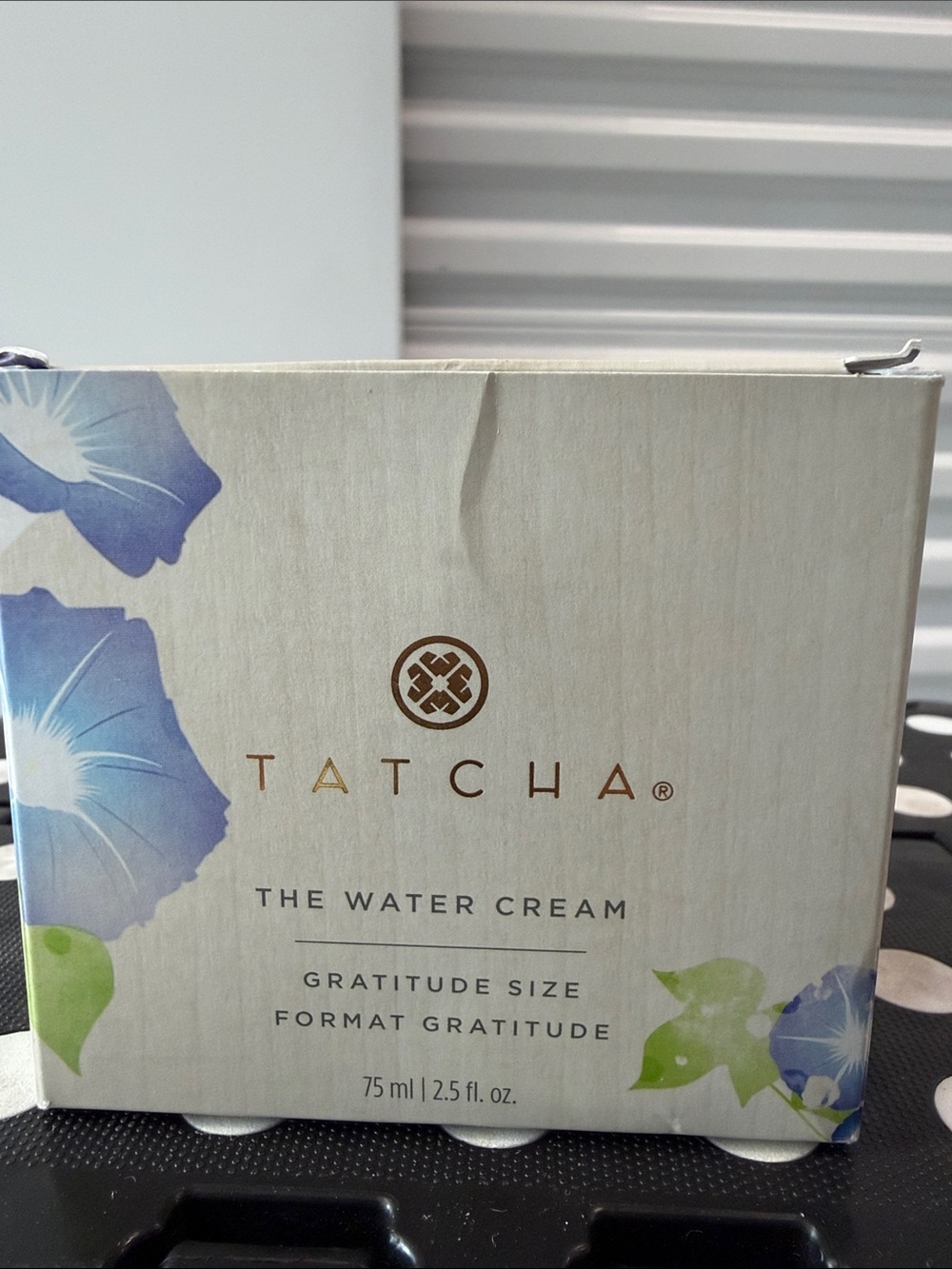 BNNU TATCHA The Dewy Skin Water Cream Hydrate Plump & Protect Dry/Combo Skin